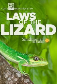 دانلود فیلم Laws of the Lizard سال 2017 - قوانین مارمولک