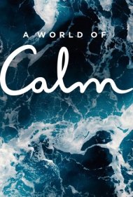 دانلود دوبله فارسی فیلم A World of Calm سال 2020 - یک دنیا آرامش