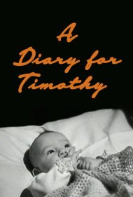 دانلود فیلم A Diary for Timothy سال 1945 - دفترچه خاطراتی برای تیموتی