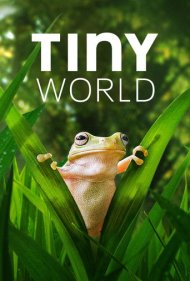 دانلود دوبله فارسی فیلم Tiny World سال 2020 - دنیای کوچک