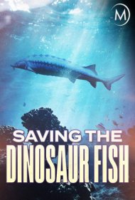 دانلود فیلم Saving the Dinosaur Fish سال 2020 - نجات ماهی دایناسوری