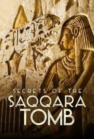 دانلود دوبله فارسی فیلم Secrets of the Saqqara Tomb سال 2020 - اسرار مقبره سقاره