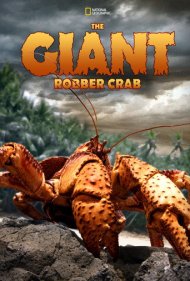 The Giant Robber Crab 2019