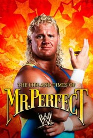 دانلود فیلم The Life and Times of Mr. Perfect سال 2008 - زندگی و روزگار آقای کامل