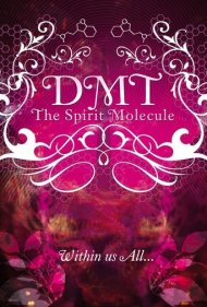 دانلود فیلم DMT: The Spirit Molecule سال 2010 - دی‌ام‌تی: مولکول روح