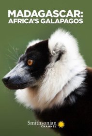 دانلود فیلم Madagascar: Africa's Galapagos سال 2019 - ماداگاسکار: گالاپاگوس آفریقا