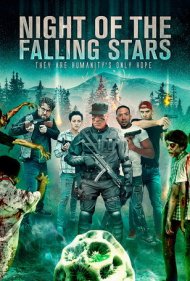 دانلود فیلم Night of the Falling Stars سال 2021 - شب ستارههای ریزان
