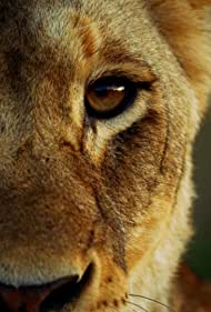 دانلود دوبله فارسی فیلم Malika the Lion Queen سال 2021 - مالیکا: ملکه شیرها