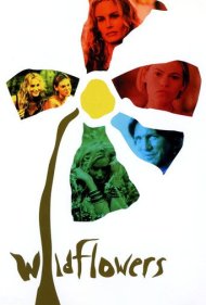 دانلود فیلم Wildflowers سال 2000 - گل‌های وحشی
