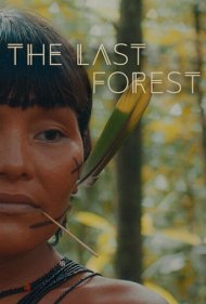 دانلود فیلم The Last Forest سال 2021 - آخرین جنگل