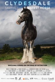 دانلود فیلم Clydesdale: Saving the Greatest Horse سال 2020 - کلایدزدیل: نجات بزرگترین اسب