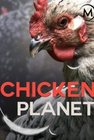 دانلود فیلم Chicken Planet سال 2016 - سیاره مرغ‌ها