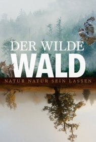 دانلود فیلم The Wild Forest سال 2021 - جنگل وحشی