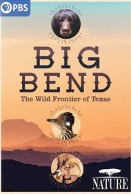 دانلود فیلم Big Bend: The Wild Frontier of Texas سال 2021 - بیگ بند: مرز وحشی تگزاس