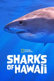 دانلود فیلم Sharks of Hawaii سال 2021 - کوسههای هاوایی
