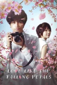 دانلود دوبله فارسی فیلم Love Like the Falling Petals سال 2022 - عشقی مثل گلبرگ های در حال ریزش