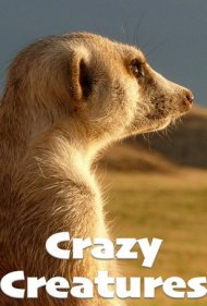 دانلود فیلم Crazy Creatures سال 2018 - موجودات عجیب و غریب