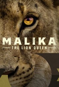 دانلود دوبله فارسی فیلم Malika the Lion Queen سال 2021 - مالیکا: ملکه شیرها