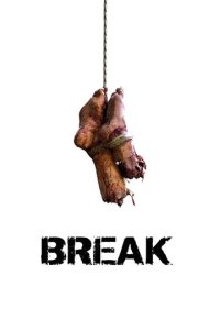 دانلود فیلم Break سال 2009 - شکست