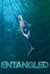 دانلود فیلم Entangled سال 2020 - گرفتار در دام