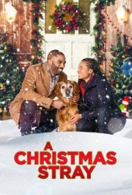 دانلود فیلم A Christmas Stray سال 2021 - سگ ولگرد کریسمس