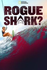 دانلود فیلم Rogue Shark سال 2021 - کوسه سرکش