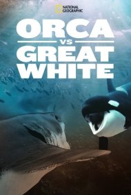 دانلود فیلم Orca Vs. Great White سال 2021 - نهنگ قاتل در برابر کوسه سفید بزرگ