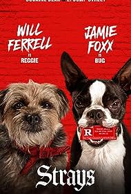 دانلود دوبله فارسی فیلم Strays سال 2023 - ولگردها