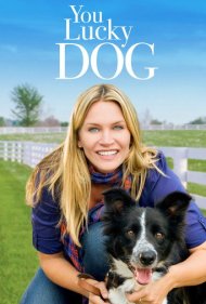 دانلود فیلم You Lucky Dog سال 2010 - سگ خوششانس تو