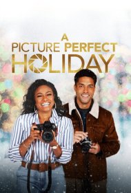 دانلود فیلم A Picture Perfect Holiday سال 2021 - یک تعطیلات بی‌نقص