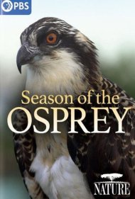 دانلود فیلم Season of the Osprey سال 2021 - فصل عقاب ماهیگیر