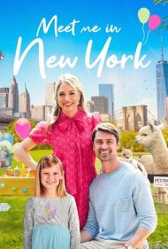 دانلود فیلم Meet Me in New York سال 2022 - در نیویورک با من ملاقات کن