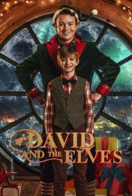 دانلود دوبله فارسی فیلم David and the Elves سال 2021 - دیوید و الف ها