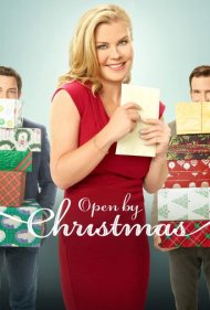دانلود فیلم Open by Christmas سال 2021 - باز کردن تا کریسمس
