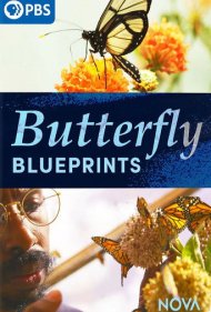دانلود فیلم Butterfly Blueprints سال 2022 - نقشه‌های پروانه