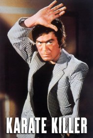 دانلود فیلم Bodyguard Kiba 2 سال 1973 - بادیگارد کیبا ۲