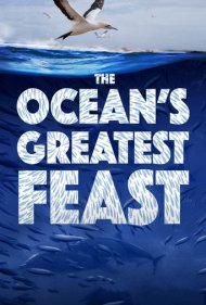 دانلود فیلم The Ocean’s Greatest Feast سال 2022 - بزرگترین ضیافت اقیانوس