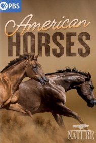 دانلود فیلم American Horses سال 2022 - اسبهای آمریکایی