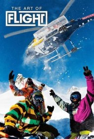 The Art of Flight 2011