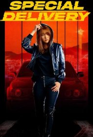 دانلود دوبله فارسی فیلم Special Delivery سال 2022 - انتقال ویژه