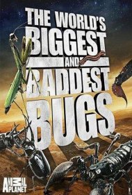 دانلود فیلم The World's Biggest and Baddest Bugs سال 2009 - بزرگترین و بدترین حشرات جهان