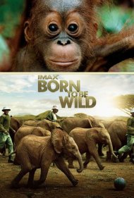 دانلود فیلم Born to Be Wild سال 2011 - زاده شده برای وحشی بودن