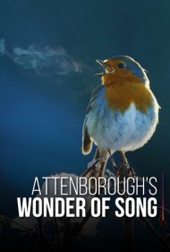 دانلود فیلم Attenborough's Wonder of Song سال 2022 - شگفتی آواز با اتنبرو