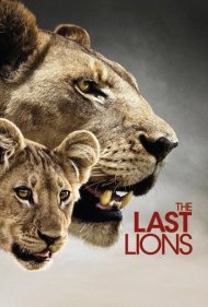 دانلود دوبله فارسی فیلم The Last Lions سال 2011
