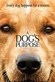دانلود فیلم A Dog's Purpose سال 2017 - هدف سگ