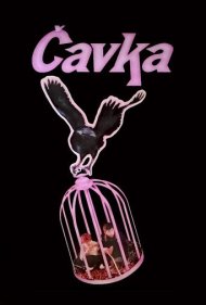 دانلود فیلم Blackbird سال 1988 - توکا