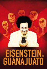 Eisenstein in Guanajuato 2015