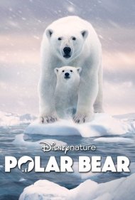 دانلود فیلم Polar Bear سال 2022 - خرس قطبی