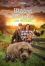 دانلود فیلم The Biggest Little Farm: The Return سال 2022 - بزرگترین مزرعه کوچک: بازگشت