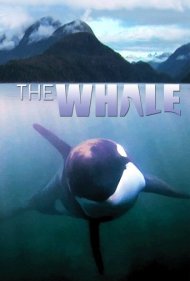 دانلود فیلم The Whale سال 2011 - نهنگ